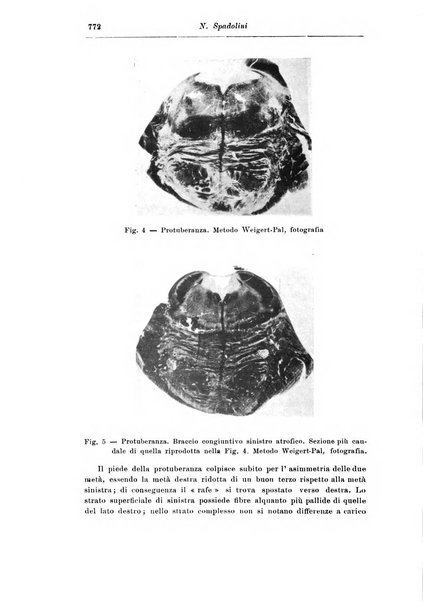 Rassegna di studi psichiatrici