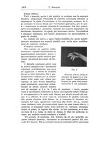 giornale/PUV0041813/1934/V.23.2/00000392