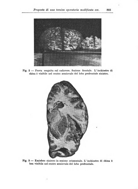 Rassegna di studi psichiatrici