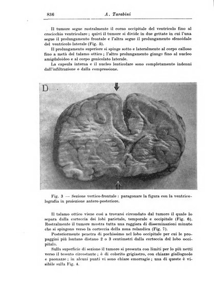 Rassegna di studi psichiatrici