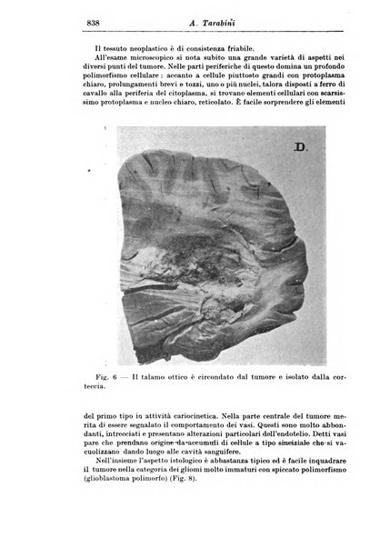 Rassegna di studi psichiatrici