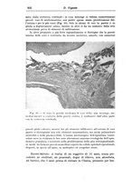 giornale/PUV0041813/1939/unico/00000964