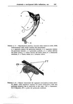 giornale/PUV0041813/1940/unico/00000207