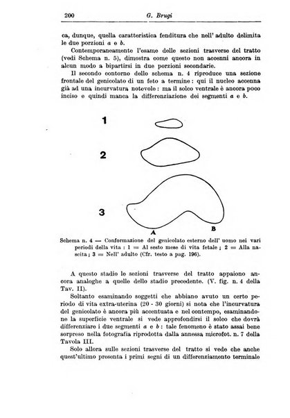 Rassegna di studi psichiatrici