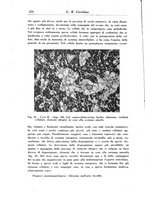 giornale/PUV0041813/1941/unico/00000246