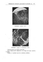 giornale/PUV0041813/1943/unico/00000191