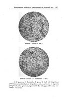 giornale/PUV0041813/1943/unico/00000201