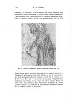 giornale/PUV0041813/1943/unico/00000344