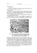 giornale/PUV0041813/1943/unico/00000518