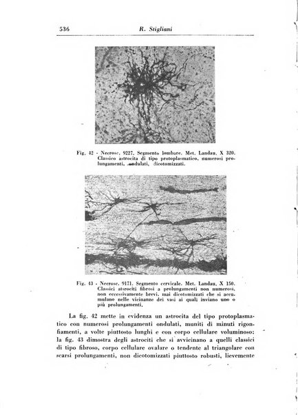 Rassegna di studi psichiatrici