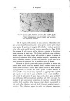 giornale/PUV0041813/1943/unico/00000564