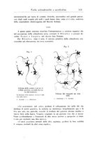 giornale/PUV0041813/1943/unico/00000577