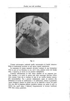 giornale/PUV0041813/1946/unico/00000123