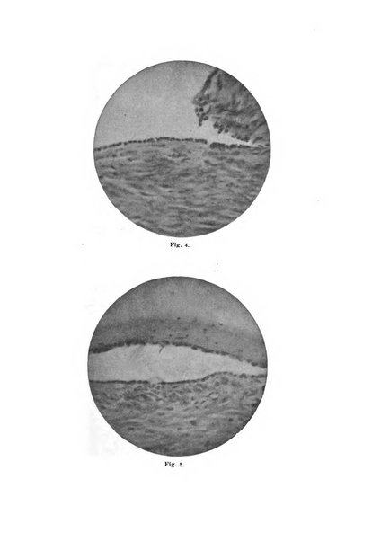 Annali di ostetricia e ginecologia