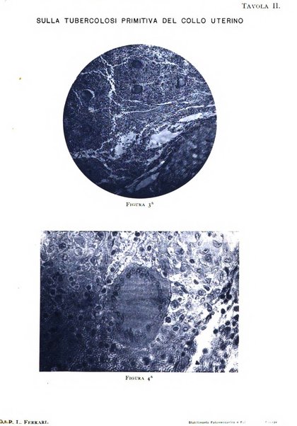 Annali di ostetricia e ginecologia