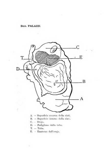 Annali di ostetricia e ginecologia