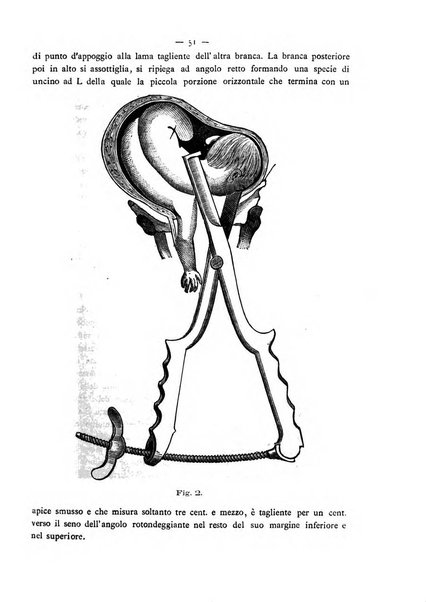 Annali di ostetricia e ginecologia