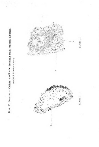 Annali di ostetricia e ginecologia