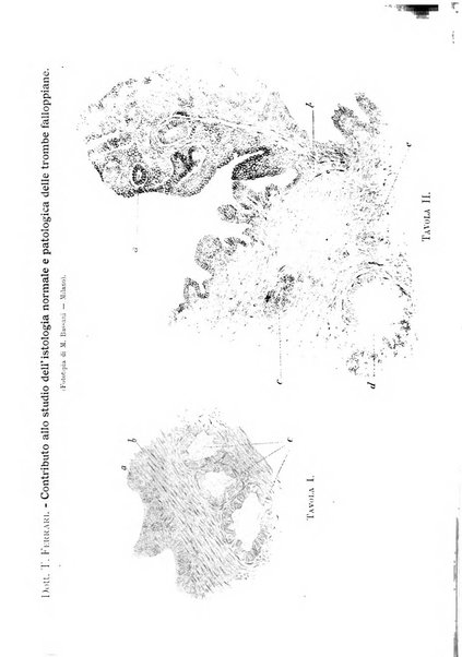 Annali di ostetricia e ginecologia