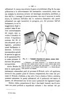 giornale/PUV0109343/1893/unico/00000157