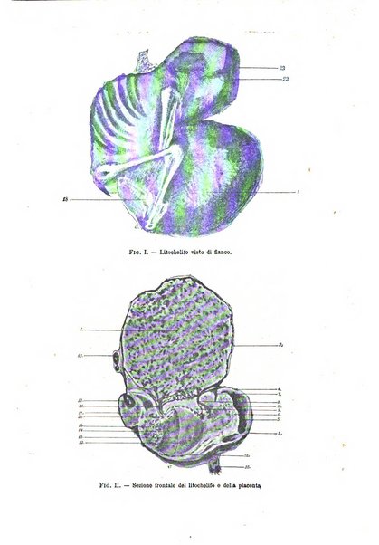 Annali di ostetricia e ginecologia