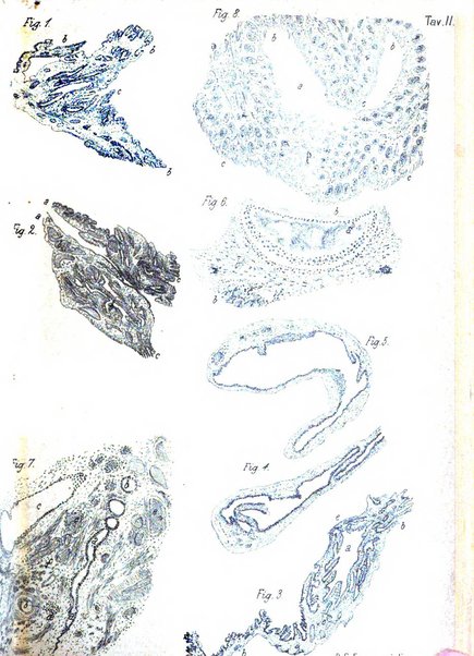 Annali di ostetricia e ginecologia