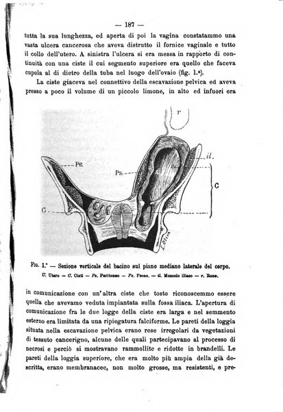 Annali di ostetricia e ginecologia