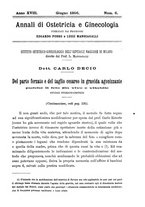 giornale/PUV0109343/1896/unico/00000463