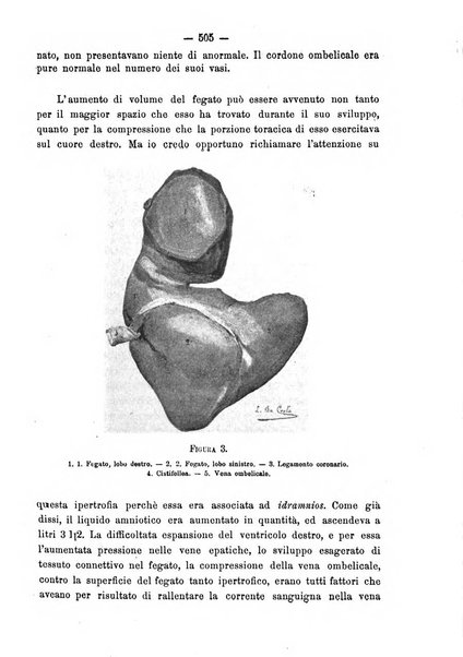 Annali di ostetricia e ginecologia