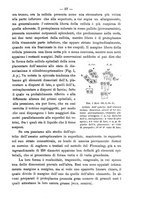 giornale/PUV0109343/1897/unico/00000065