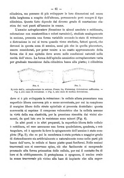 Annali di ostetricia e ginecologia