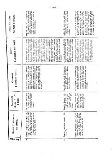 Annali di ostetricia e ginecologia