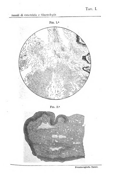 Annali di ostetricia e ginecologia