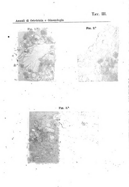 Annali di ostetricia e ginecologia