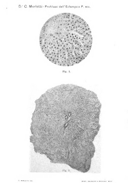 Annali di ostetricia e ginecologia