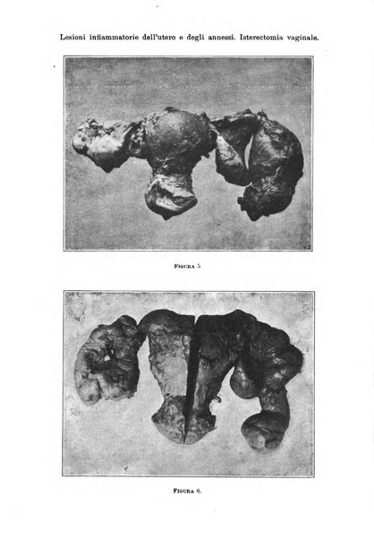 Annali di ostetricia e ginecologia