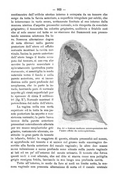 Annali di ostetricia e ginecologia