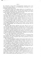 giornale/PUV0109343/1900/unico/00000033