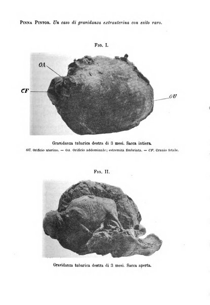 Annali di ostetricia e ginecologia