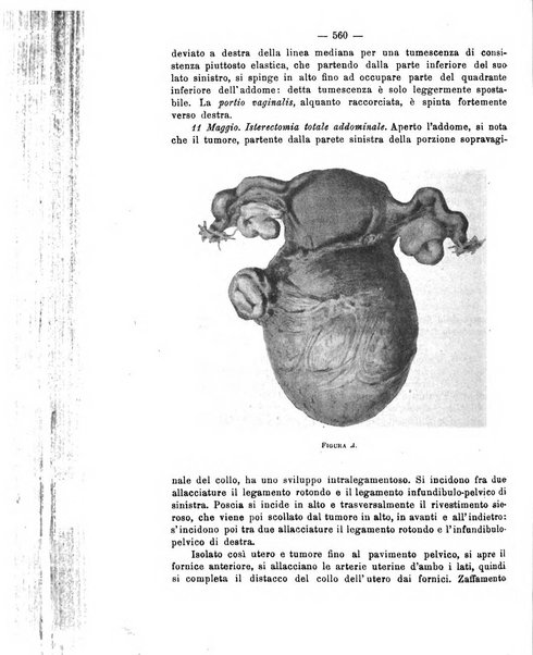 Annali di ostetricia e ginecologia