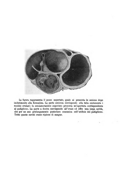 Annali di ostetricia e ginecologia