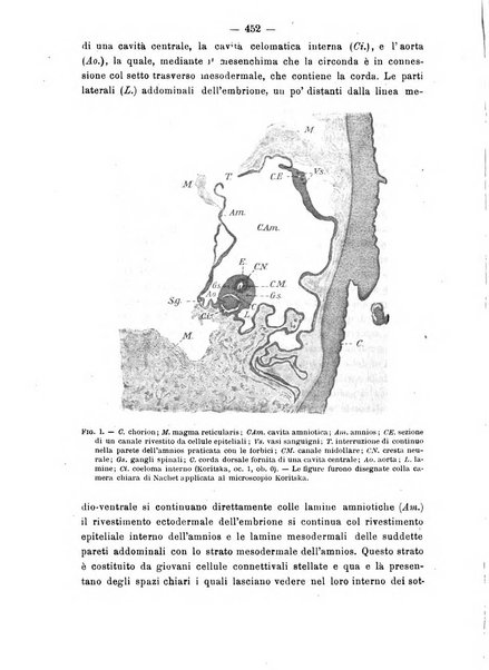 Annali di ostetricia e ginecologia