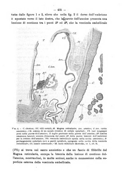 Annali di ostetricia e ginecologia