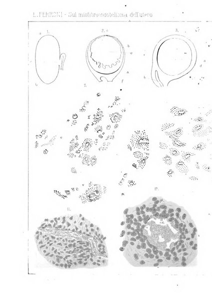 Annali di ostetricia e ginecologia