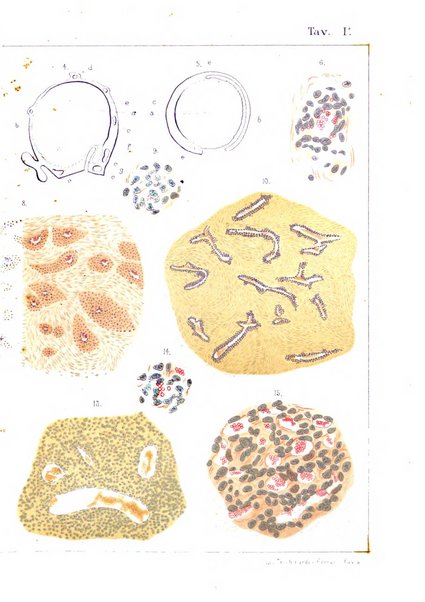 Annali di ostetricia e ginecologia