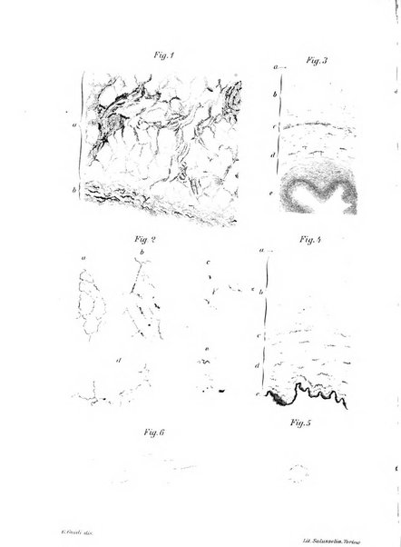 Annali di ostetricia e ginecologia