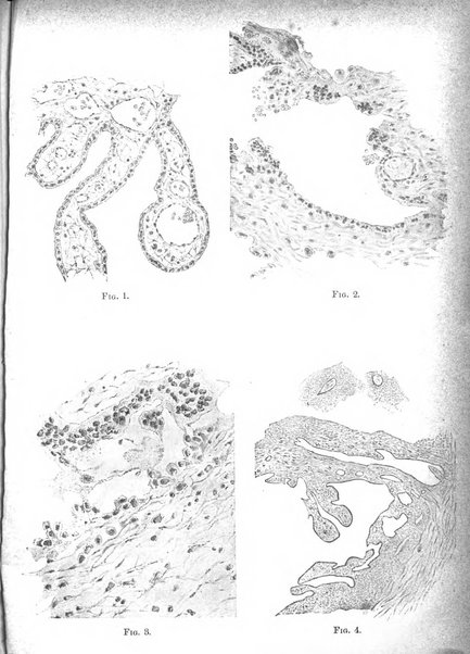 Annali di ostetricia e ginecologia