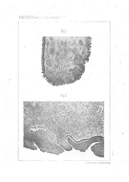 Annali di ostetricia e ginecologia