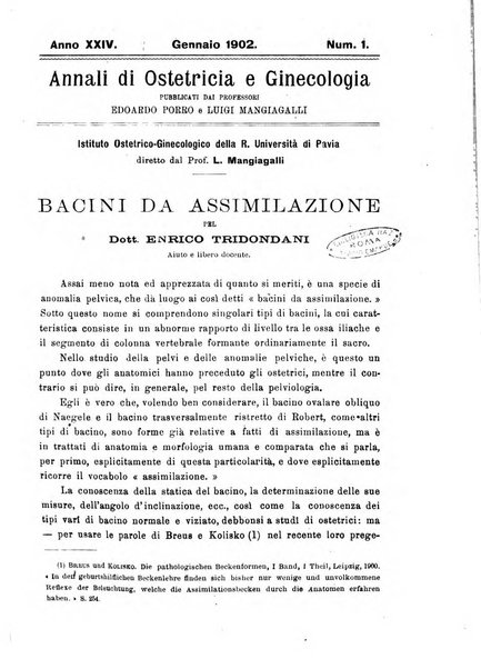 Annali di ostetricia e ginecologia