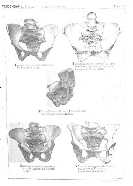 Annali di ostetricia e ginecologia